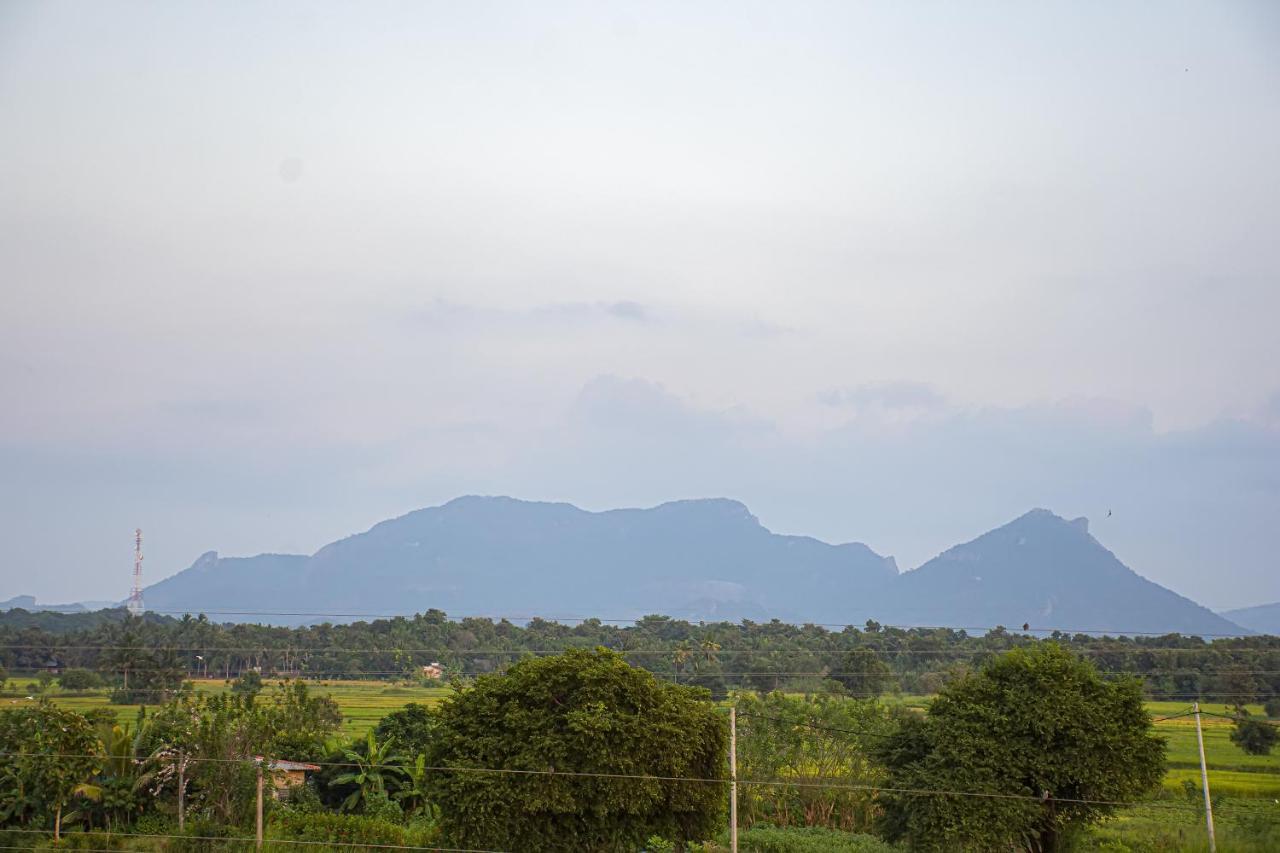 Gold Crown Residence Dambulla Exterior photo